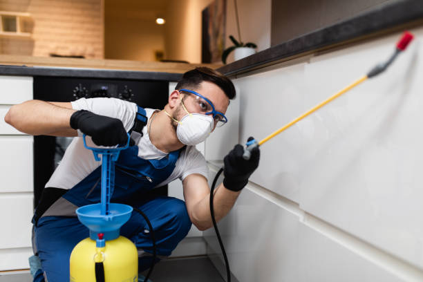 Pest Control for Restaurants in Jones, OK