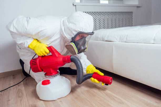 Best Wasp Removal Services  in Jones, OK