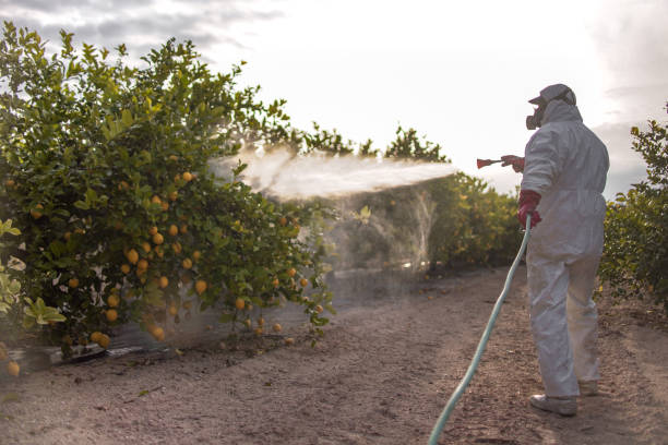 Best Pest Control Near Me  in Jones, OK