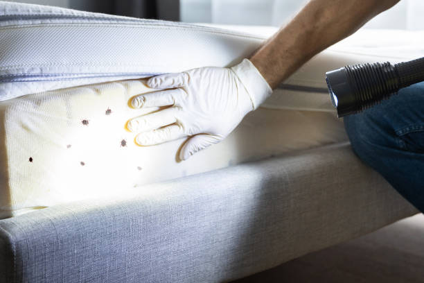 Best Affordable Pest Control Services  in Jones, OK