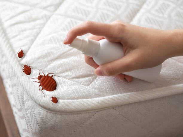 Best Pest Removal Services  in Jones, OK