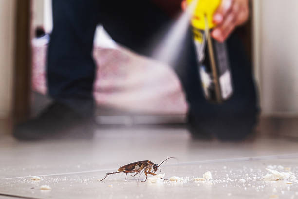 Best Wildlife Control Services  in Jones, OK