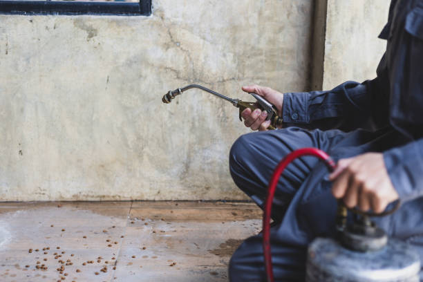 Best Flea Control Services  in Jones, OK